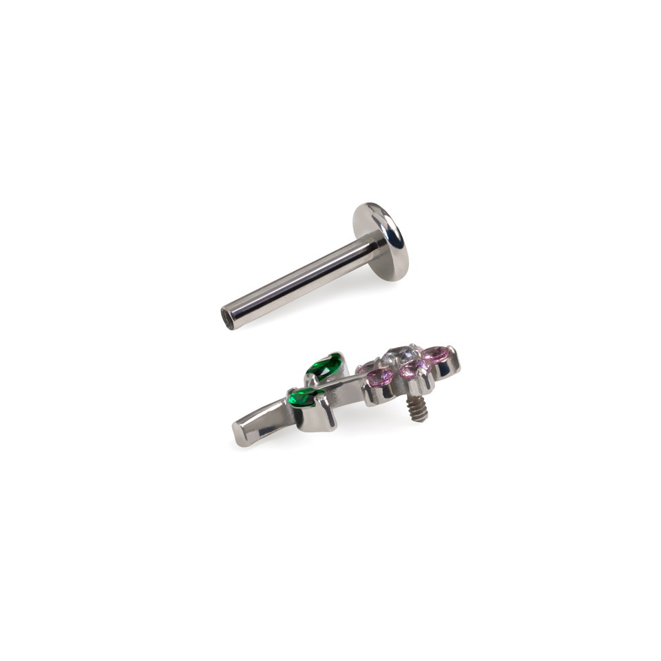 Labreta s roztomilou květinou a plochými zády